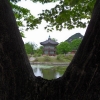 Seoul_10.jpg