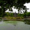 Seoul_11.jpg