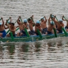 dragonboat_21