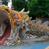 dragonboat_24