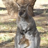Grampians22