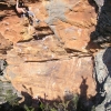 Grampians50