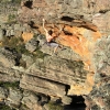 Grampians52
