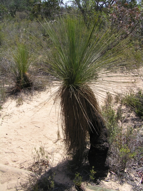 Grampians68