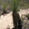 Grampians68