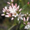Grampians70