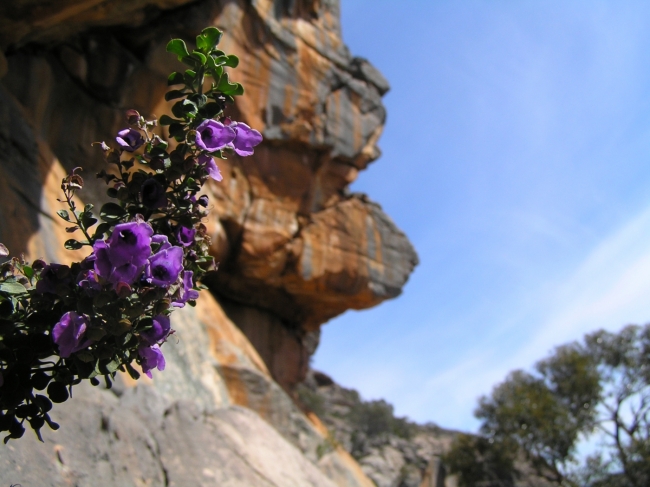 Grampians73