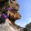 Grampians73