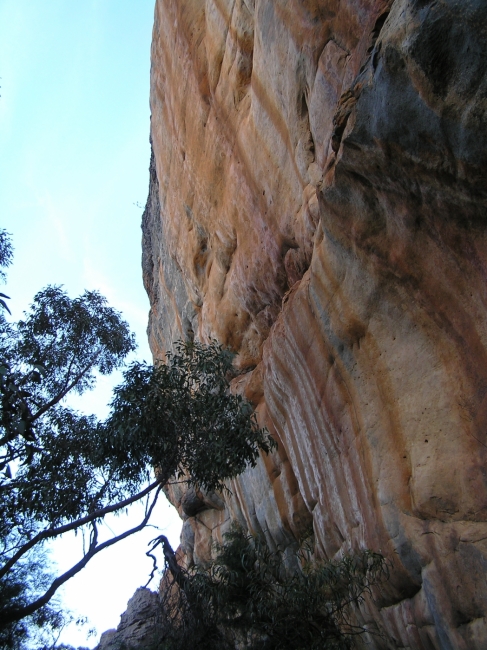 Grampians81