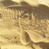 StKilda_01