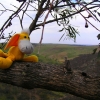 Werribee_28