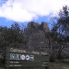 Buffalo_12