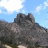 Buffalo_13