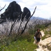 Buffalo_23