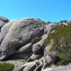 Buffalo_26