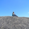 Buffalo_28