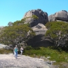 Buffalo_29