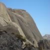Buffalo_30a
