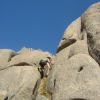 Buffalo_30b