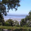 WilsonsProm_006