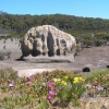 WilsonsProm_012