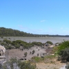 WilsonsProm_013