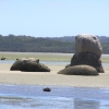WilsonsProm_015