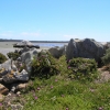 WilsonsProm_017