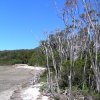 WilsonsProm_019
