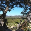 WilsonsProm_024