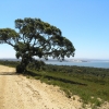 WilsonsProm_025