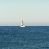 WilsonsProm_034