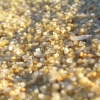 WilsonsProm_036