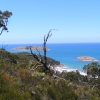 WilsonsProm_057