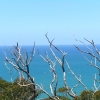 WilsonsProm_059
