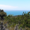 WilsonsProm_062