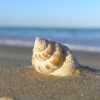 WilsonsProm_081