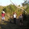 WilsonsProm_101