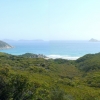 WilsonsProm_109