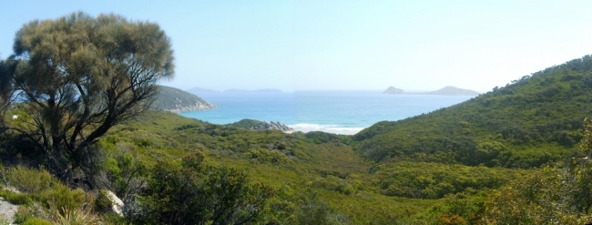 WilsonsProm_109