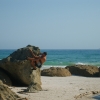 WilsonsProm_117