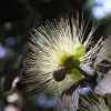 Sydney_20