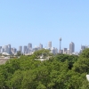Sydney_31