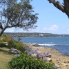Sydney_59