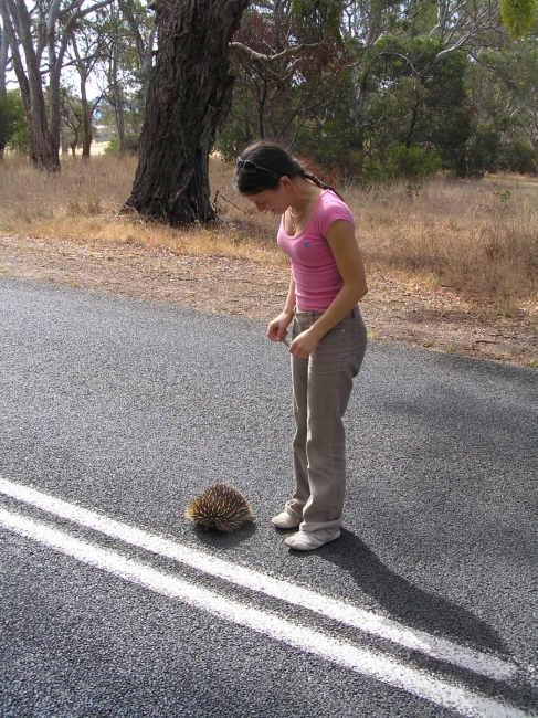 Grampians_28