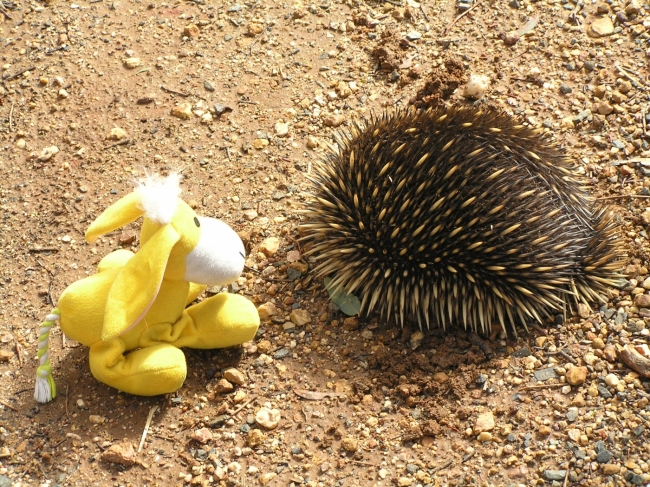 Grampians_29