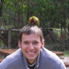 Dandenongs_11