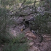 Grampians_20
