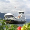 P8254662