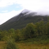 P8284747
